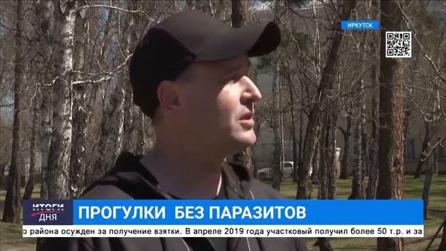 Прогулки без паразитов, результат работы акарицидной обработки в г.Иркутск смотреть онлайн