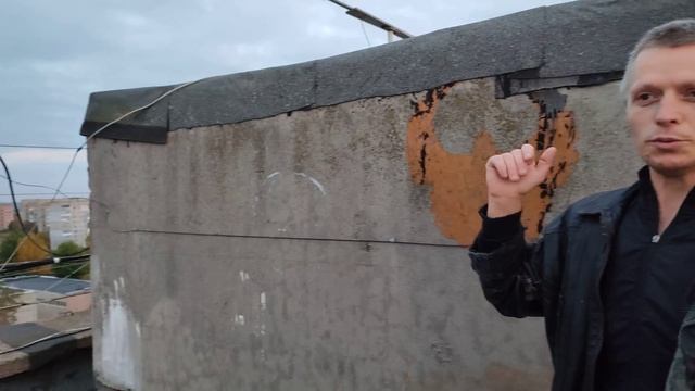 Рассказ о Николаевских/Кировоградских голубях. Личный пример владения. Часть 1 смотреть онлайн