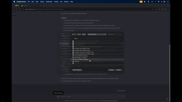 Comment analyser des images avec ChatGPT de OpenAI ? Mettre image / photo sur Chat GPT Vision ? смотреть онлайн
