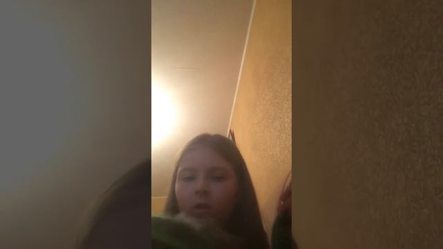 ГЛАВНЫЙ ВОПРОС СОБАЧНИКОВ!!! Что лучше: поводок или рулетка? ? смотреть онлайн