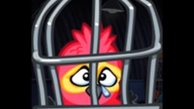 Angry Birds Rio: Red Birds and Monkeys - (Crying & Laughing) Level Failed смотреть онлайн