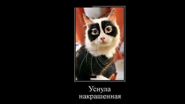 пошлые, смешные, лучшее демотиваторы - Best funny # 16 смотреть онлайн