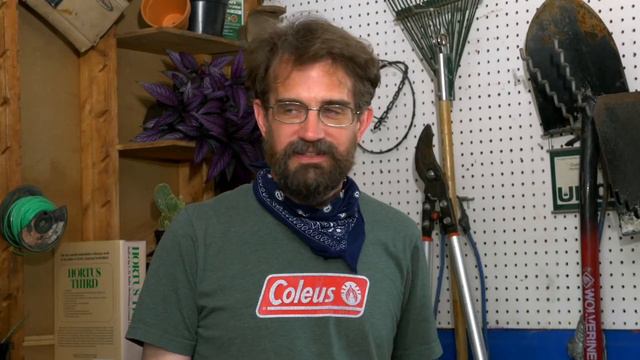 Plant Based? PLANTPOP's Plant! Show, Episode 3 смотреть онлайн