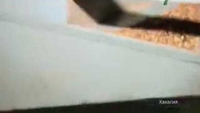 Гречки много - цены ниже. (NotaBene 01.11.11) смотреть онлайн