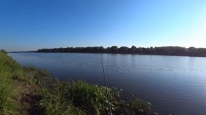 КАША на ЛЕЩА! Рыбалка на донки телескоп с берега!