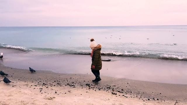 ОЧЕНЬ ГОЛОДНЫЕ ЧАЙКИ?! Кормим на море птиц смотреть онлайн