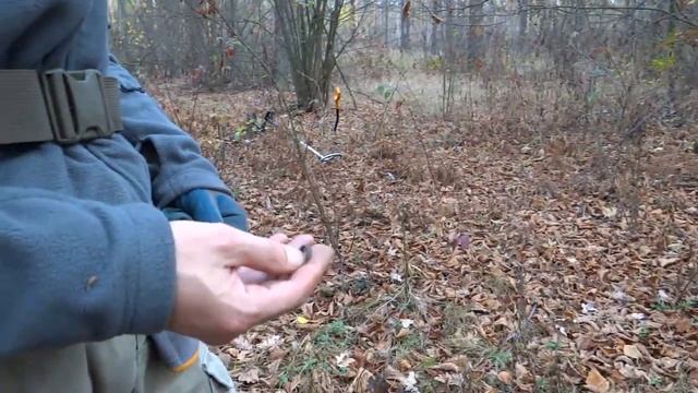 Поиск в лесу и редкие находки смотреть онлайн