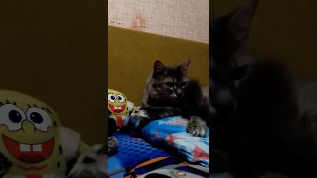 том что если не только ты и так далее не бред.. жаль 🤣🤣🤣❤️❤️ смотреть онлайн