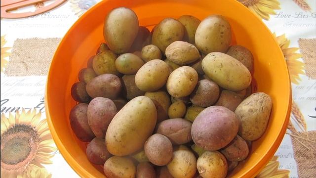 Дача - 2021 г. Первомай, Пасха, холод. Обзор участка. смотреть онлайн