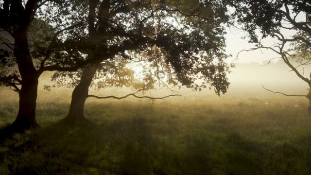 Красивые стихи под музыку - Вселенную за все благодарю смотреть онлайн