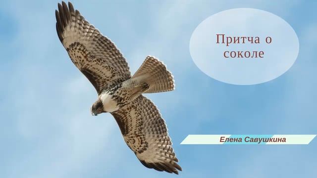Притча о соколе