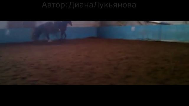 КОНОКЛИП: Хэптон и я (Малышка любит дилера) смотреть онлайн