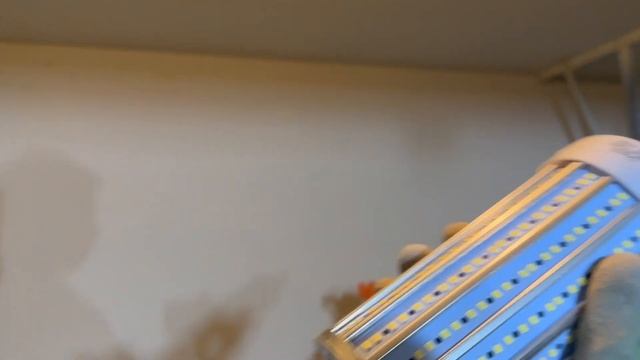 QUICK LOOK: Doovi 500W LED Corn Bulb - Is It Bright Enough? смотреть онлайн