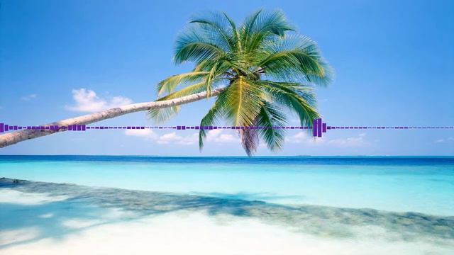 Oh So Tropical смотреть онлайн