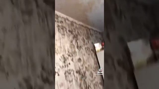 мультиварка взорвалась смотреть онлайн