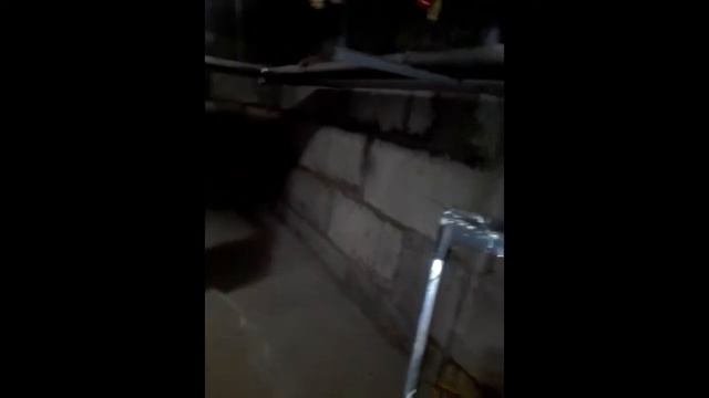 Замена сгона Ду 25 в подвале многоквартирного дома смотреть онлайн