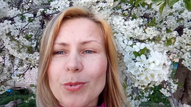Учитель Слово-золото и почему так？26.04.2022