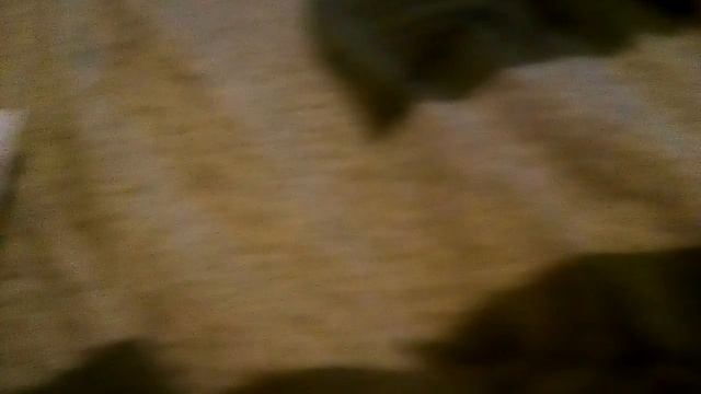 Oбзор на новую книгу О белочке и тамарочке рассказы??? смотреть онлайн