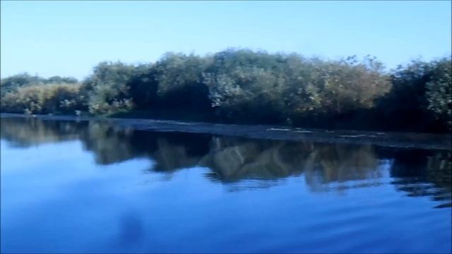 По старицам реки Припять.Рыбалка троллингам на щуку.Синкевичи(Намокрово) смотреть онлайн