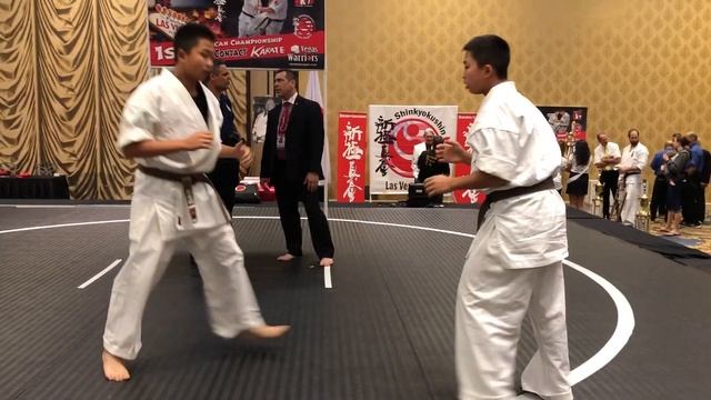 The twin's fight practice in the karate arena, Las Vegas смотреть онлайн