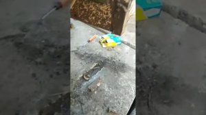 Подключение заднего фонаря прицепа kogel.есть информация по распиновке разъёма