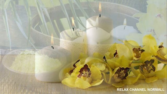 Релакс видео Орхидея HD - музыка для релакса. Relaxing video Orchid HD - Music for relaxation смотреть онлайн