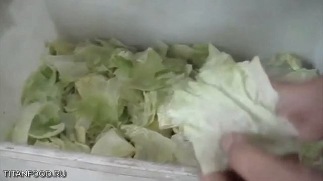 Установка для нарезки овощей Titan TW-806 смотреть онлайн