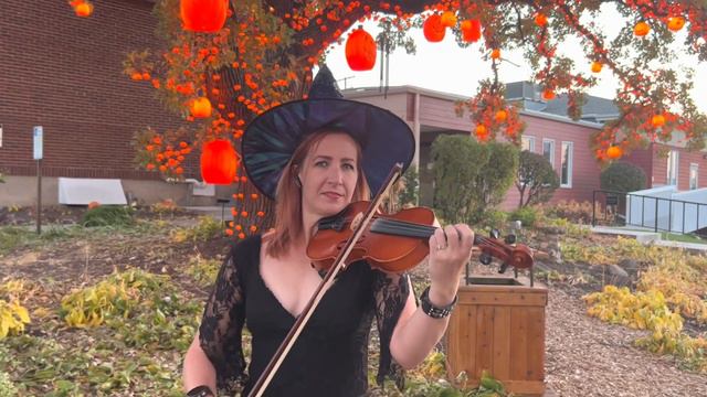 Many a Wild Night - Wendy on Fiddle for Tune 19 of #OAIM50 2022-2023 смотреть онлайн