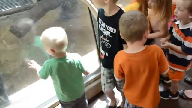 #Dubai Zoo#Travel With Chulan смотреть онлайн