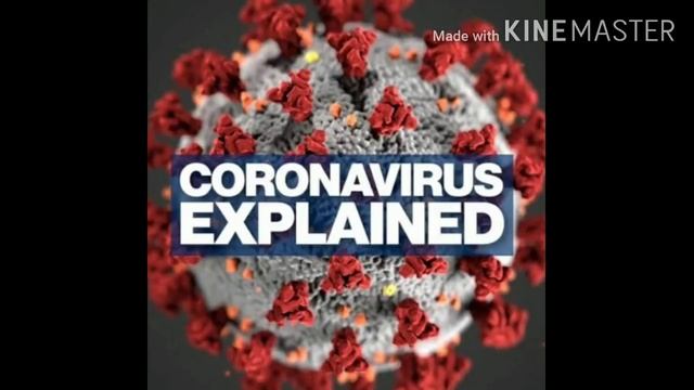 Live interview call with HR manager #Rajshekarvision | Thanks for 1 Million Views | смотреть онлайн