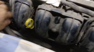 Ошибка P2008 | Диагностика Ford C-Max