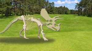 Dinosaur bone puzzle game | Find the dinosaur bones | What did the dinosaurs eat?
 |공룡의 뼈를 찾아라 |딩동T