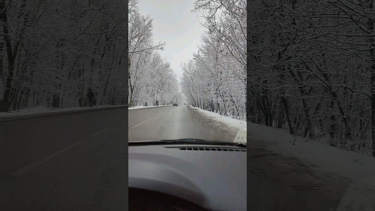 КРАСОТА неописуемая в роще смотреть онлайн