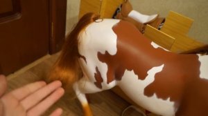 ОБЗОР ЛОШАДИ (порода пинто) | Akira Wolf / Акира Вулф