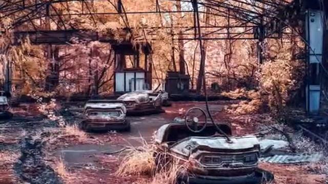 Чернобыль заповедник смотреть онлайн