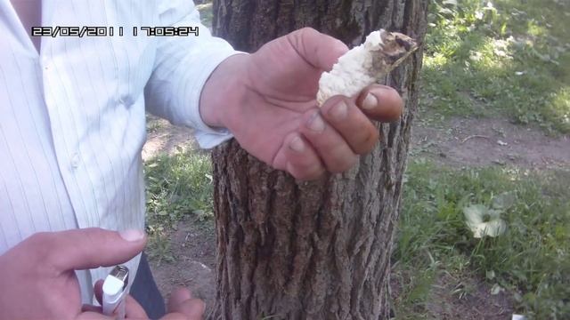 пенный утеплитель - горение смотреть онлайн