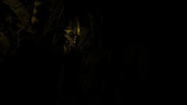 Kathy Ivers Doing Mongo Bongo Man