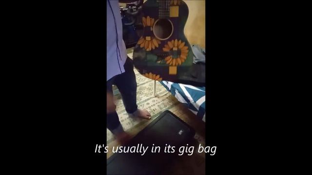 SX VTG Series | Takla Acoustic | Cort M-Jet смотреть онлайн