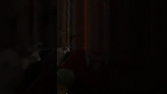 Dzhiga    Кальян разбил