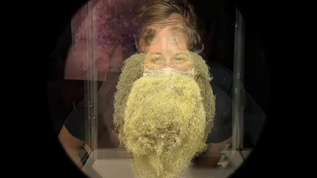 Staff Trying On This WonderFULL Beard!