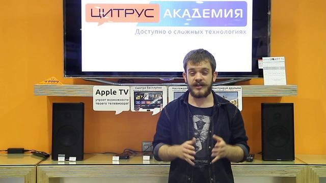 Цитрус Академия смотреть онлайн