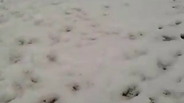 Рыбалка на самодельные жерлицы. смотреть онлайн