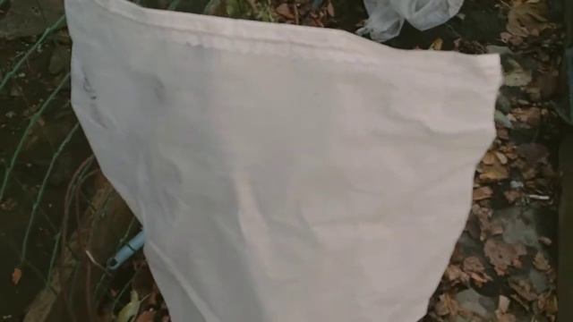 Как укрывать инжир на зиму!!! смотреть онлайн