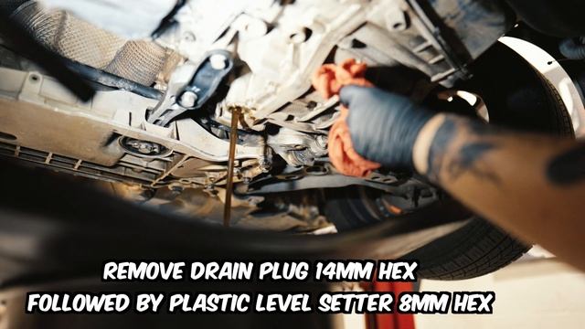 30 Minute Volkswagen / Audi DSG Transmission Service