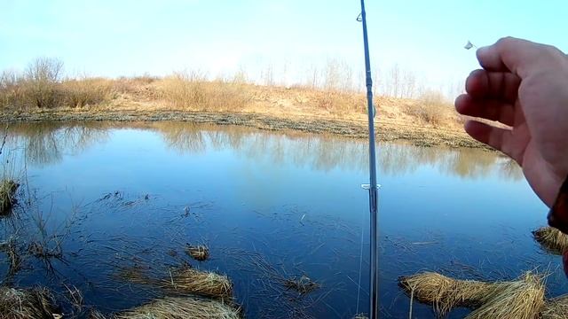 ПОПЛА ПОППЕР РУЛИТ В ЗАПРЕТ ! Первый раз в жизни ловлю на эту снасть.))) смотреть онлайн