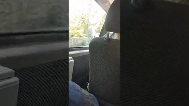 моя поездка по ялте и пейзаж моря гор и леса смотреть онлайн