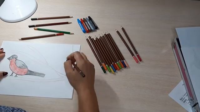 Рисуем зимующих птиц смотреть онлайн