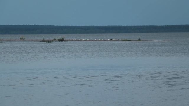 Четыре берега (Белое море 2021) часть 2 смотреть онлайн