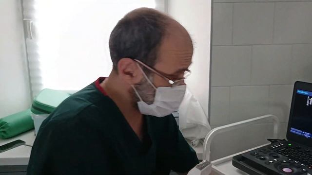 УЗИ вен нижних конечностей норма