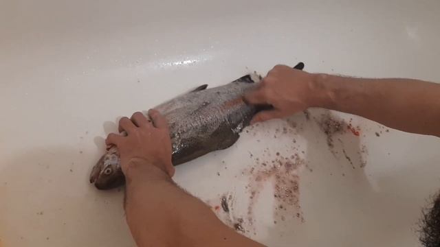 Чистим форель от чешуи в домашних условиях в ванне. Лёгкий способ чистки форели. смотреть онлайн